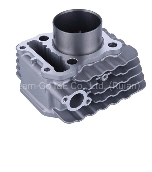 High Quality of Tricycle Part Motorcycle Spare Part Cylinder Block with Piston Kit