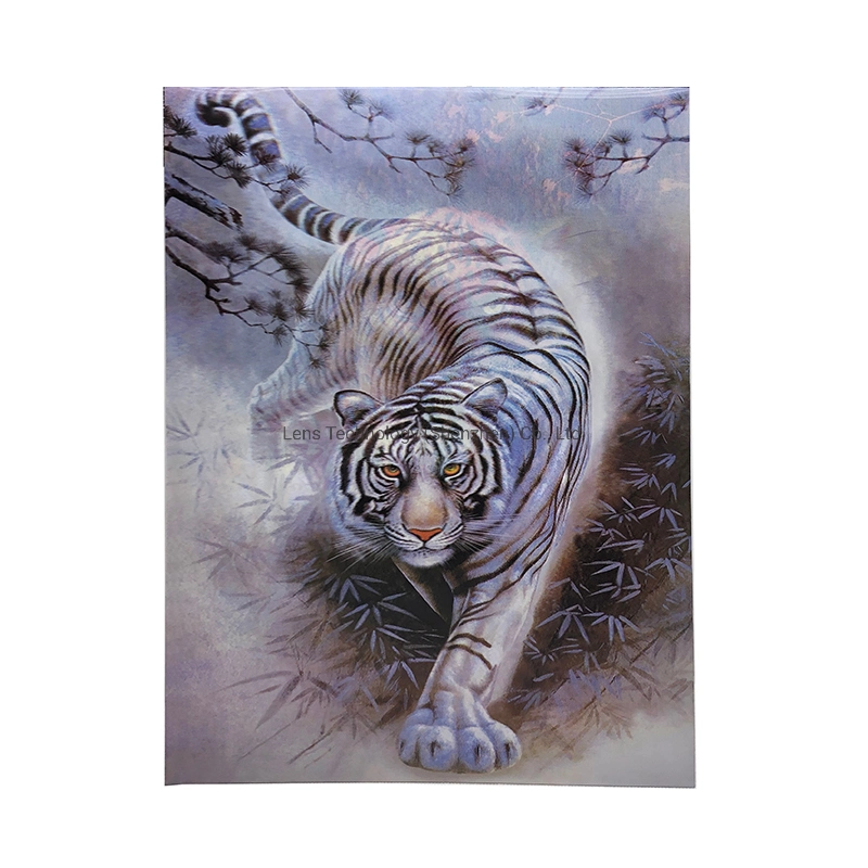 Impressão Lenticular Tigre coloridos Foto com efeito 3D