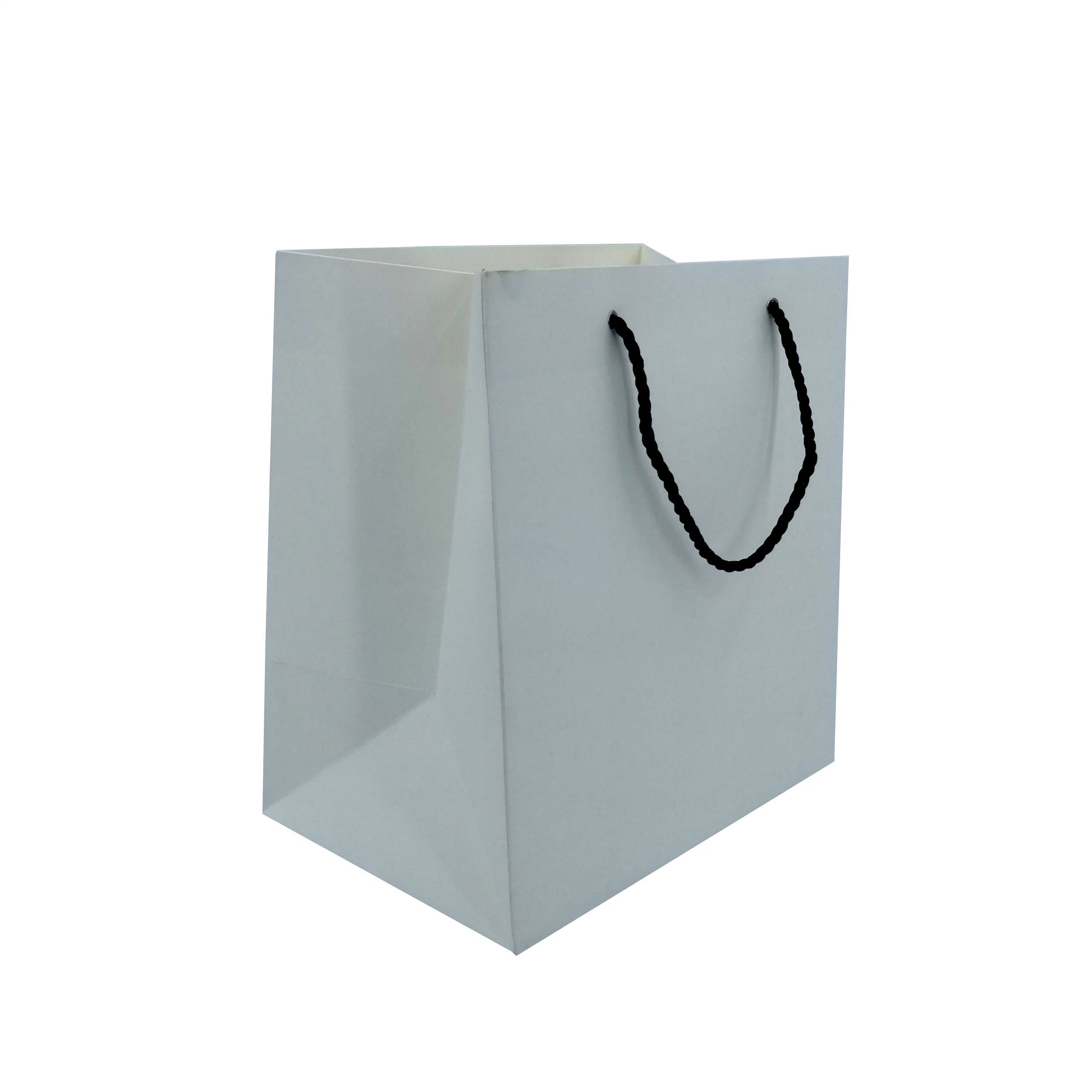 Hot Sale Offset Printing Craft Paper Bag for Flowers Chain Shop