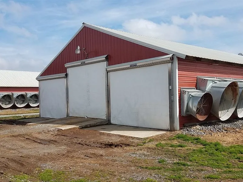 Cooling Wind Prevention Galvanized Steel Frame Farm Poultry Chicken House