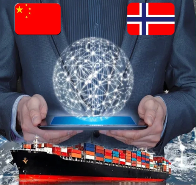 FCL /LCL Sea Shipping Agency Services zum Hafen Oslo, Norwegen von China