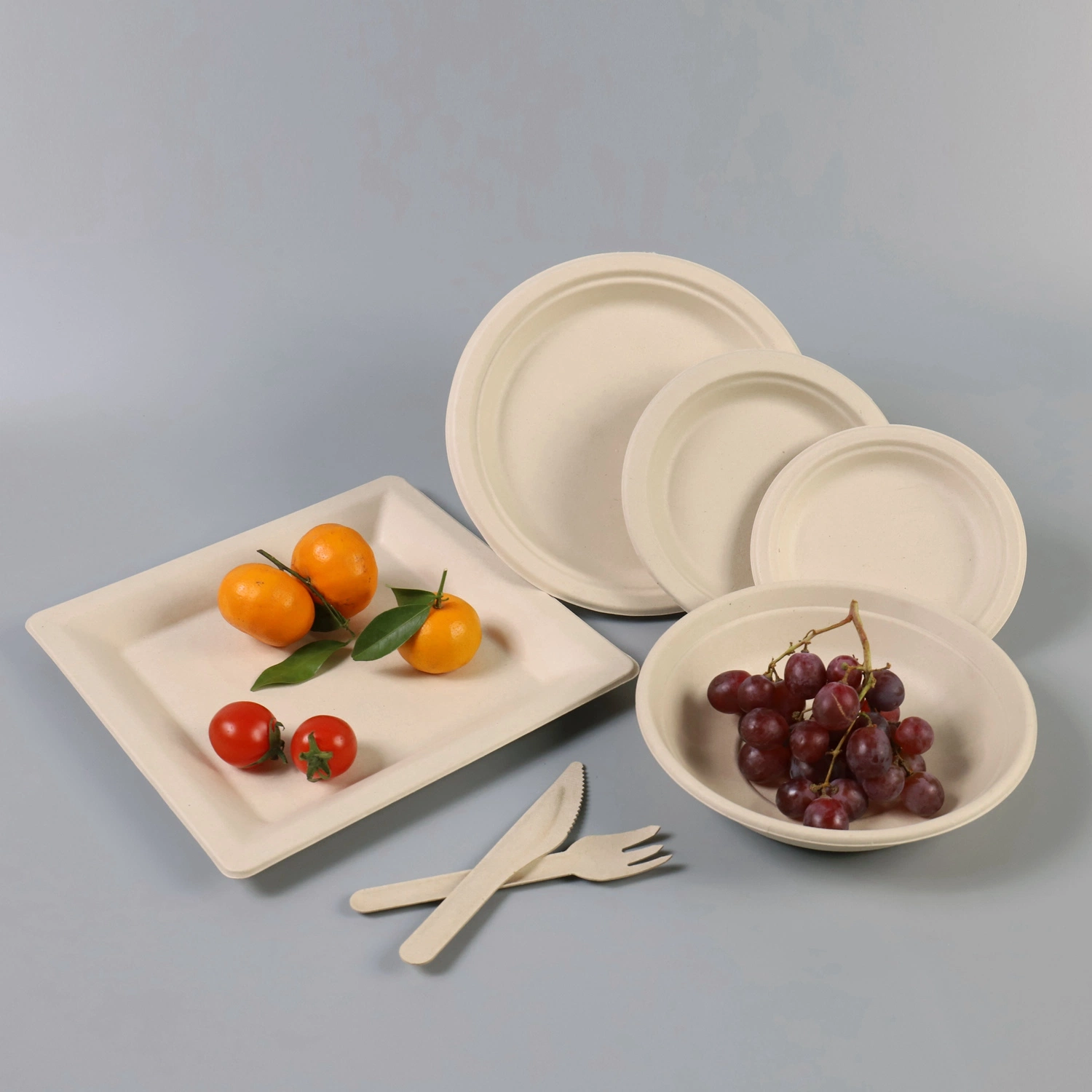 Disposable Biodegradable100% Compostable Sugarcane Bagasse Food Plates