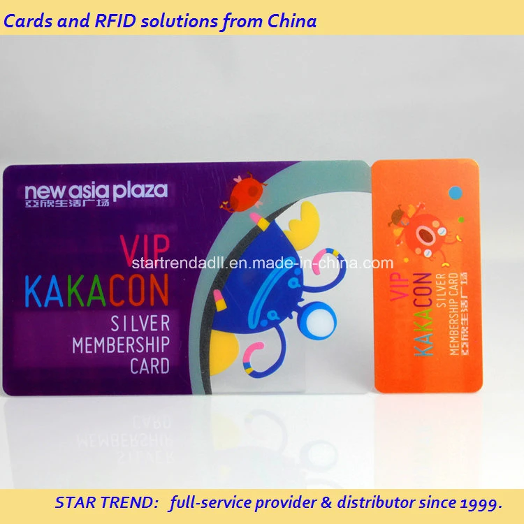 Discount! Cmyk Colors Printing Plastic PVC Key Tag Combo Cards with Barcode