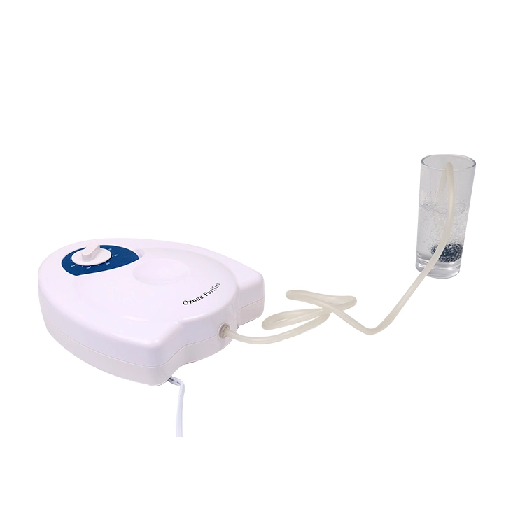 ODM/ OEM Air Freshener Fruit and Vegetable Ozone Purifier