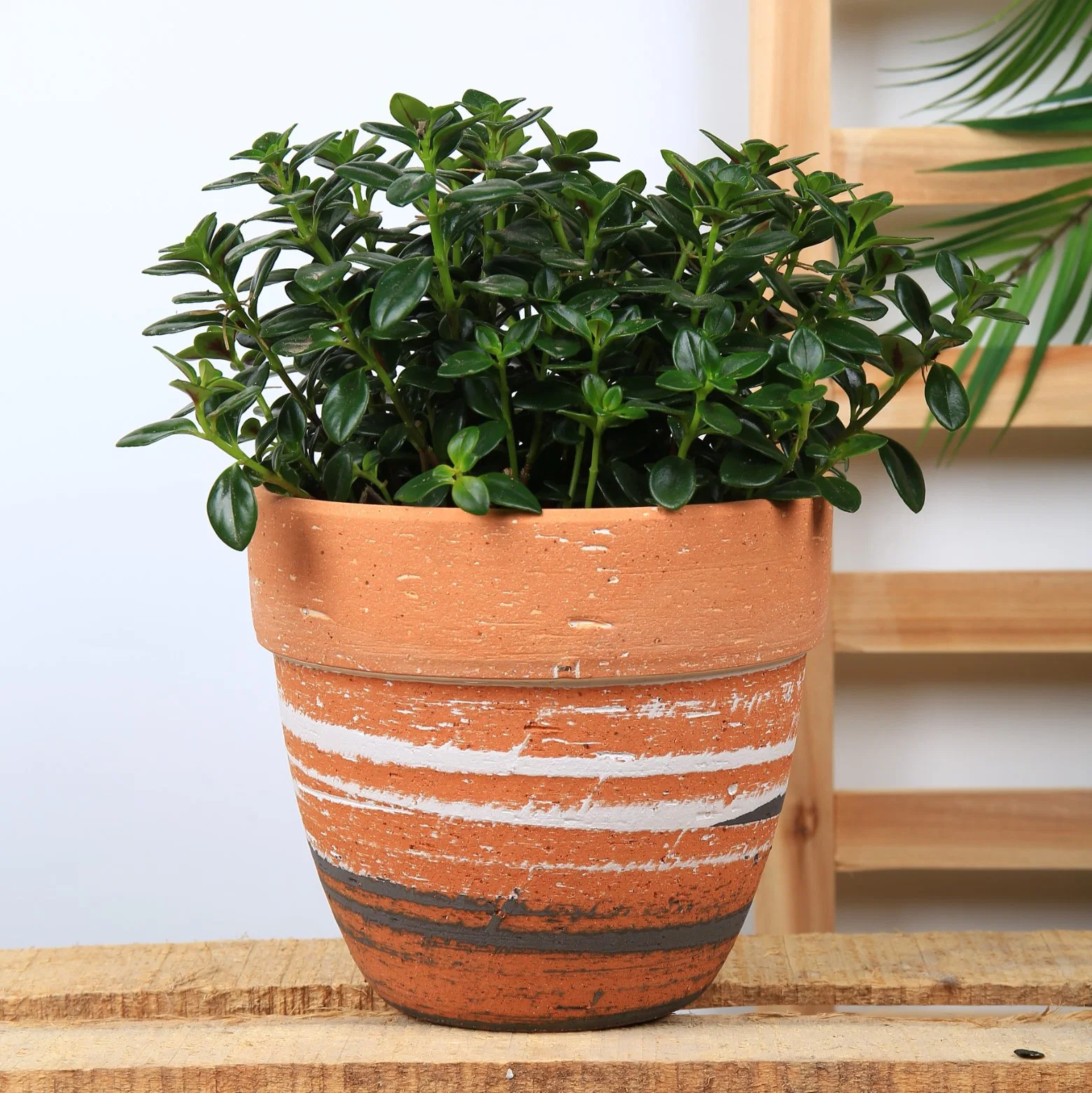 Basic Customization Multi Sizes Household Garden Planter Terracotta Clay Pots Plant Pot