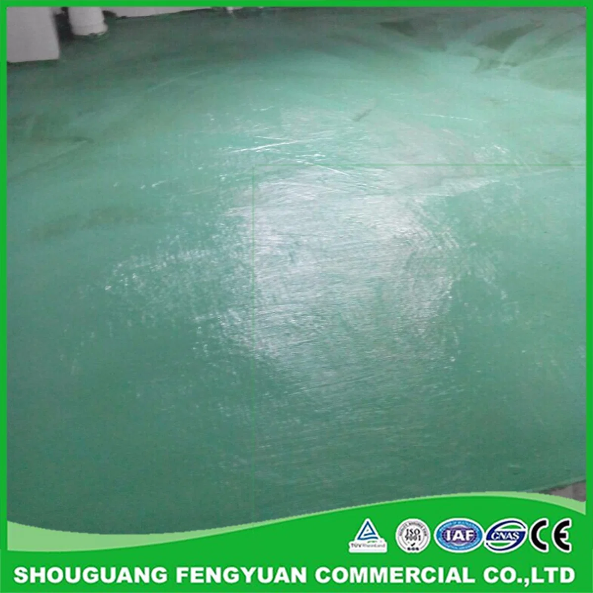 Anti UV Rays Outside Used Silicone Waterproof Coating