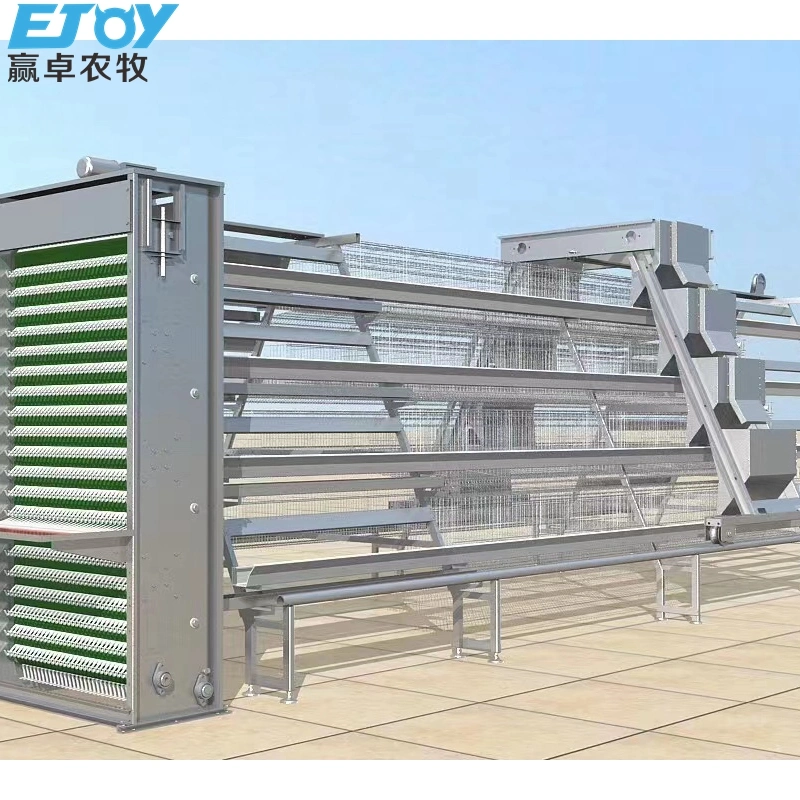 a Type Poultry Equipment Automatic Layer Cage Chicken Coop in Rasing Farm