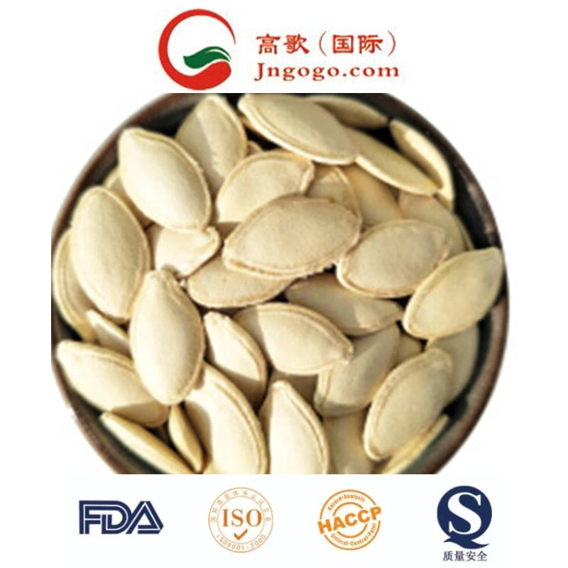 Good Quality Shine Skin Pumpkin Seeds Kernels Grade AA