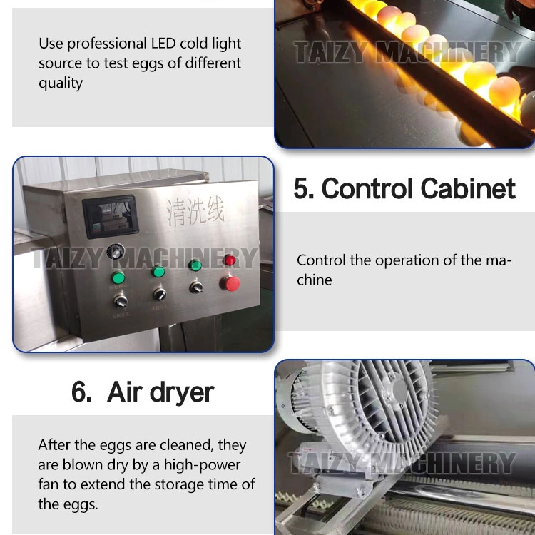 البط البيض تنظيف التجفيف آلة تعقيم البيض غسالة غسالة أوكازيون
