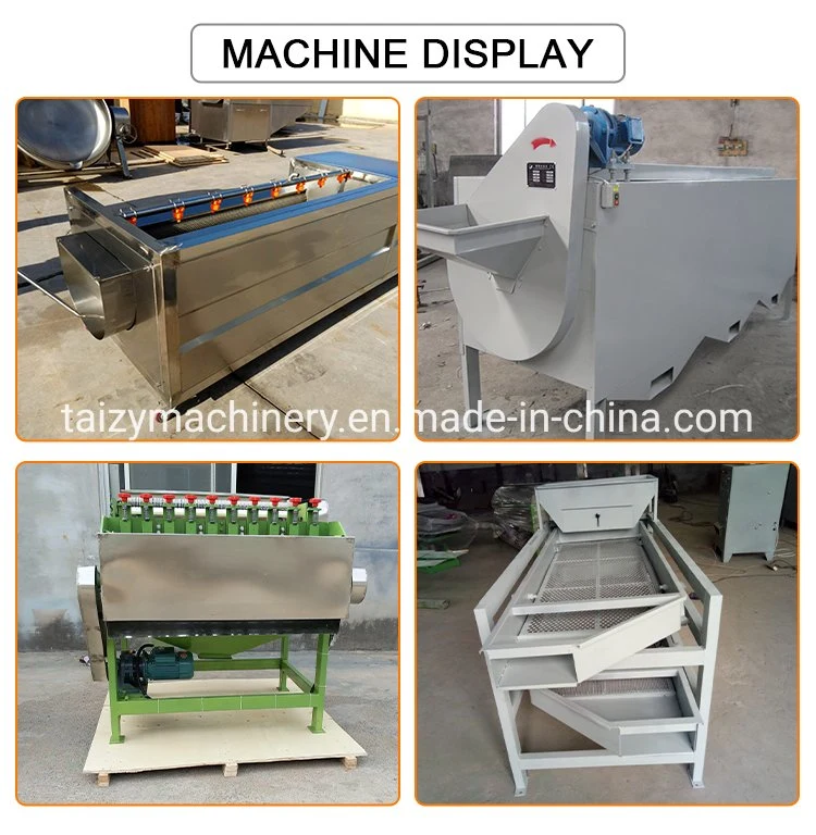 Raw Cashew Nut Processing Machine Cashew Nut Shelling Machine Cashew Manufacturing Machine