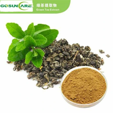 Natural Food Grade Tea Polyphenols UV EGCG Green Tea Extract Herbal Plant