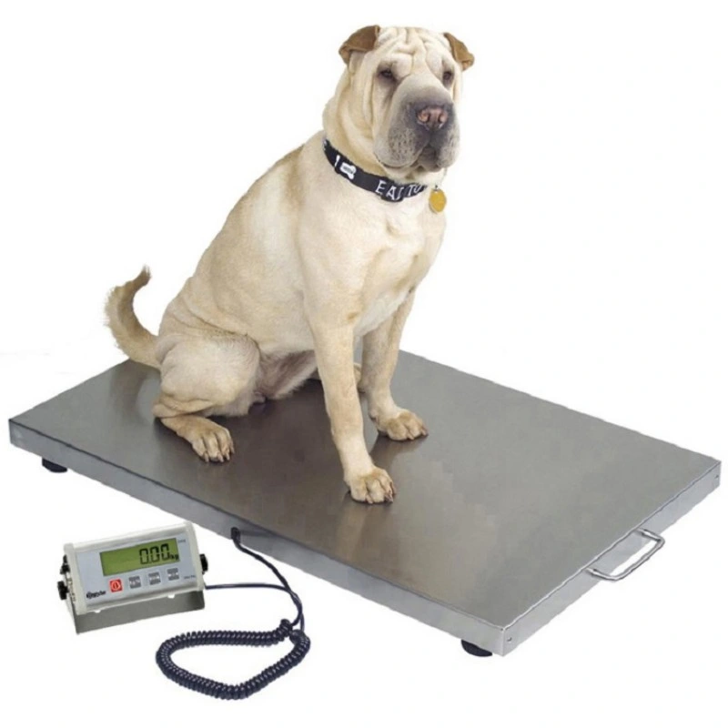 Balance électronique balance PET balance vétérinaire pour chiens