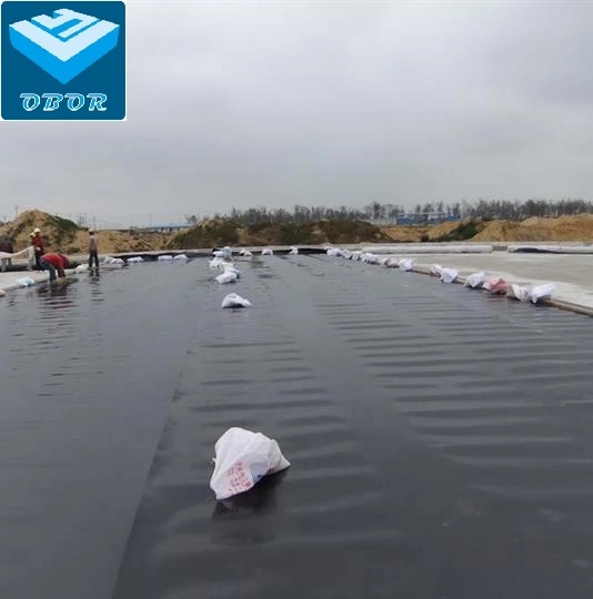 High Density Polyethylene Plastic Roll Sheet HDPE/LDPE/LLDPE Geomembrane