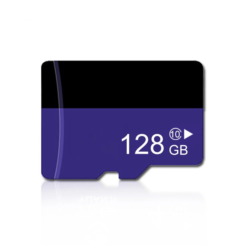 Mulberry Mini SD Card 256GB Class 10 Memory Card for Phone/Camera/Driving Recorder High Speed TF Card