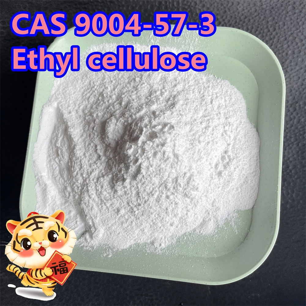 CAS 9004-57-3 Ethyl Cellulose with Manufacturer Price