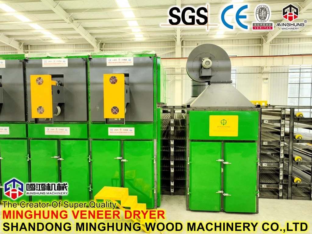 Veneer Drying Line Veneer Drying Technology for Wood Forest Machine