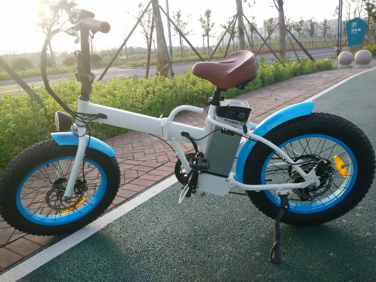 En15194 250W Fat Tire Folding Ebike Electric Bicycle for Child