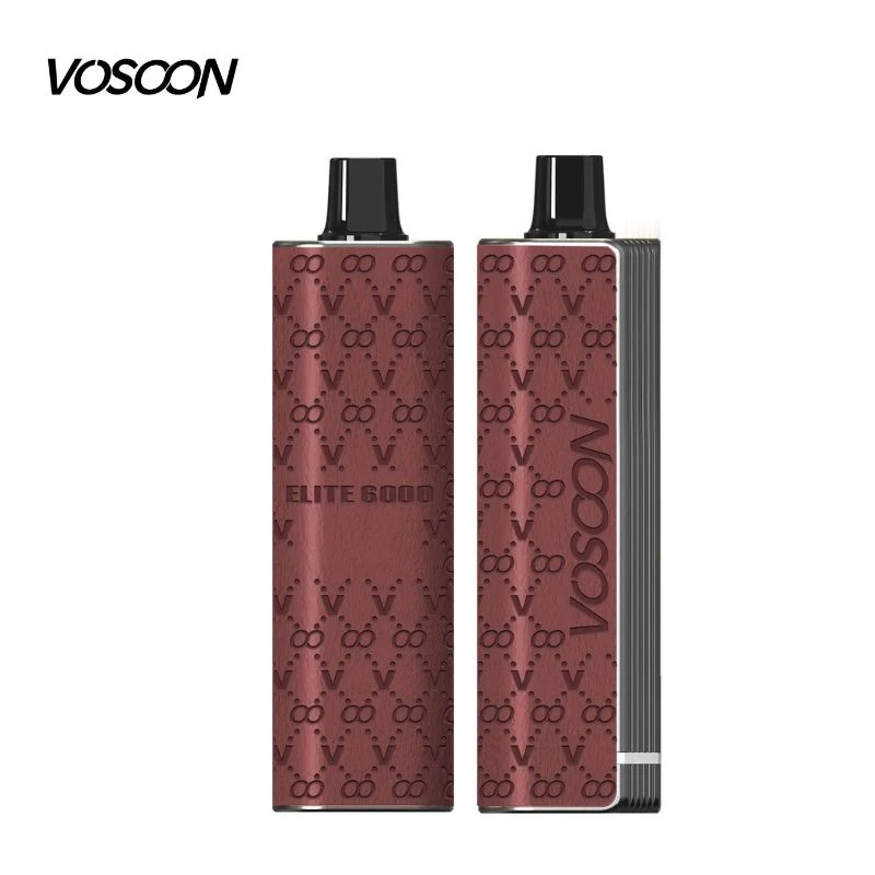 Disposable/Chargeable Vape Leather Mesh Coil Vaporizer vape Wape 6000 Puffs Atomizer