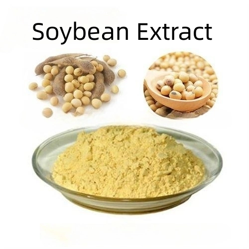 Factory Price Soybean Extract Phosphatidylcholine/PC 20%-90%