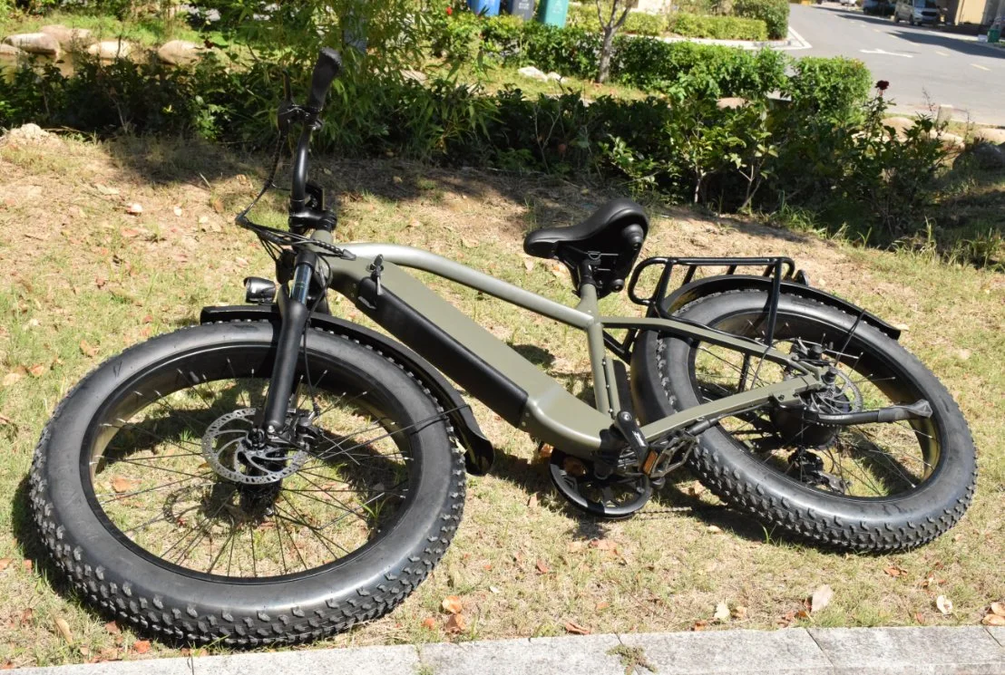 Vélo saleté Ebike Chine batterie amovible usine Prix graisse de montagne Pneu vélo électrique