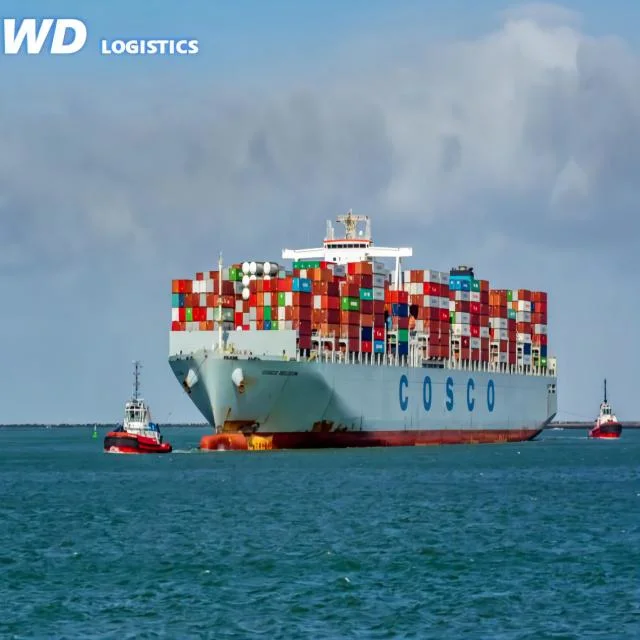 Efficient Ocean Cargo Services Sea Freight Forwarder From China to Belgium Brussels Waterloo Antwerp Ghent Bruges Hasselt DDP Fob