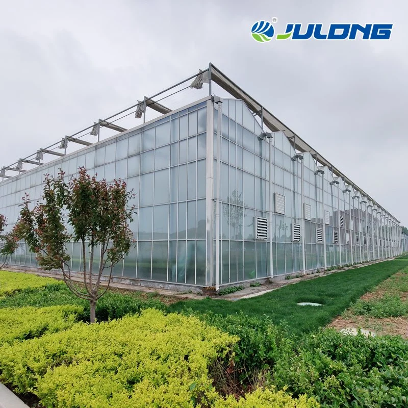 Light Steel Structure Multi Span Greenhouse with European Standards Design