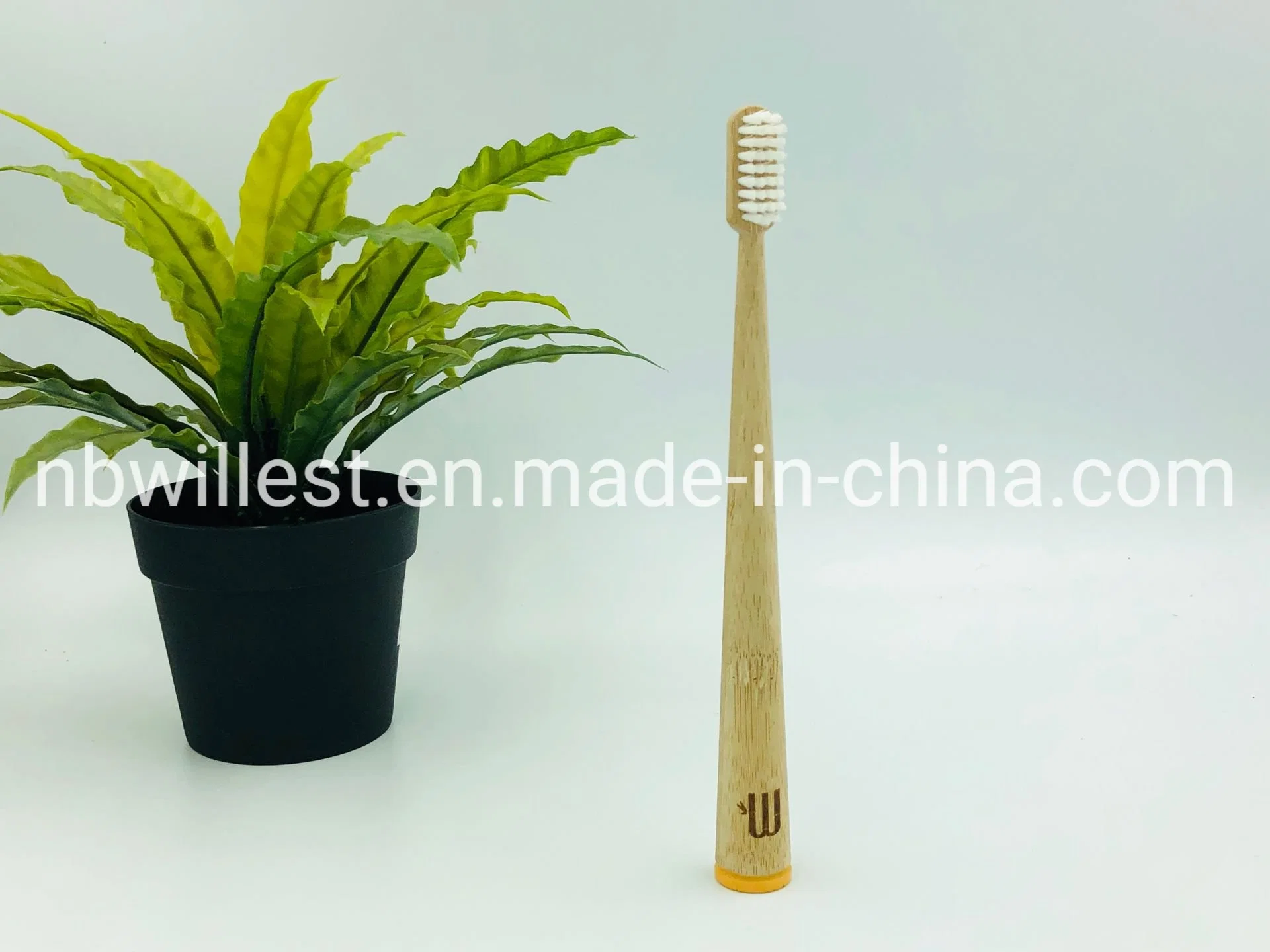 2019 Venta de cepillo de dientes caliente ecológica Bamboo Ronda pintura