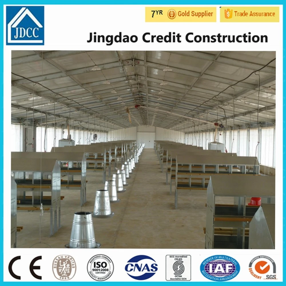 Structural Steel Fabrication Chicken Poultry House