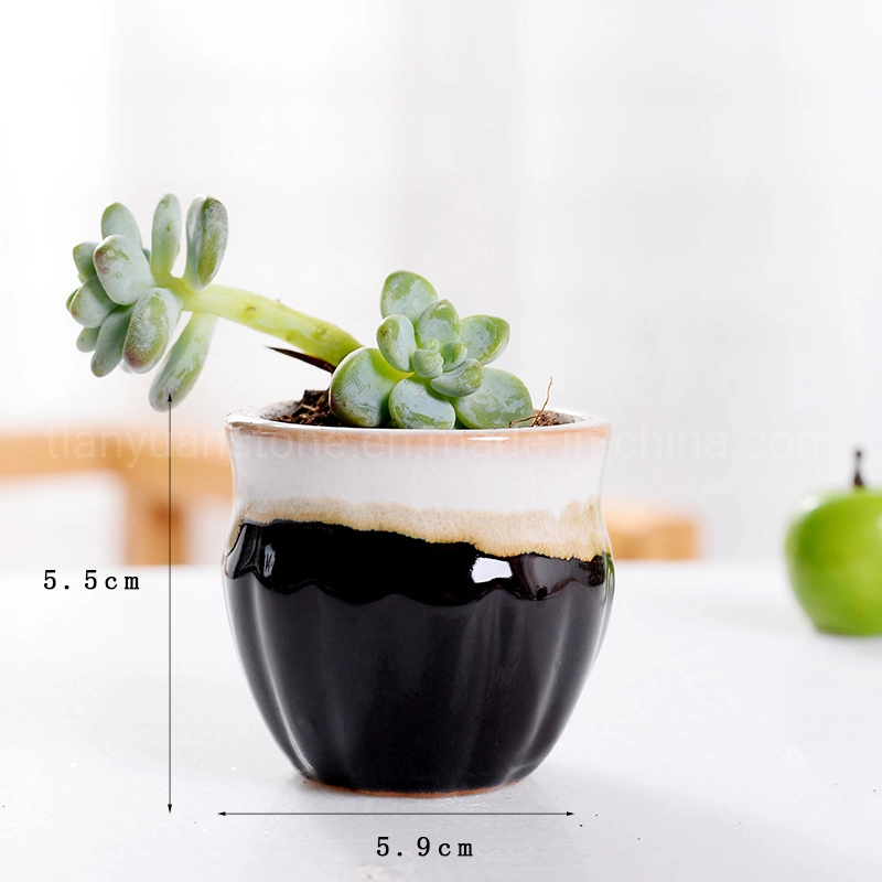 Mini Pot Creative Succulent Thumb Pot Cute Round Ceramic Flower Pot