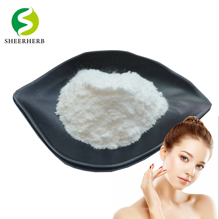 Cosmetic Raw Material Hyaluronic Acid Powder CAS 9004-61-9 Hyaluronic Acid