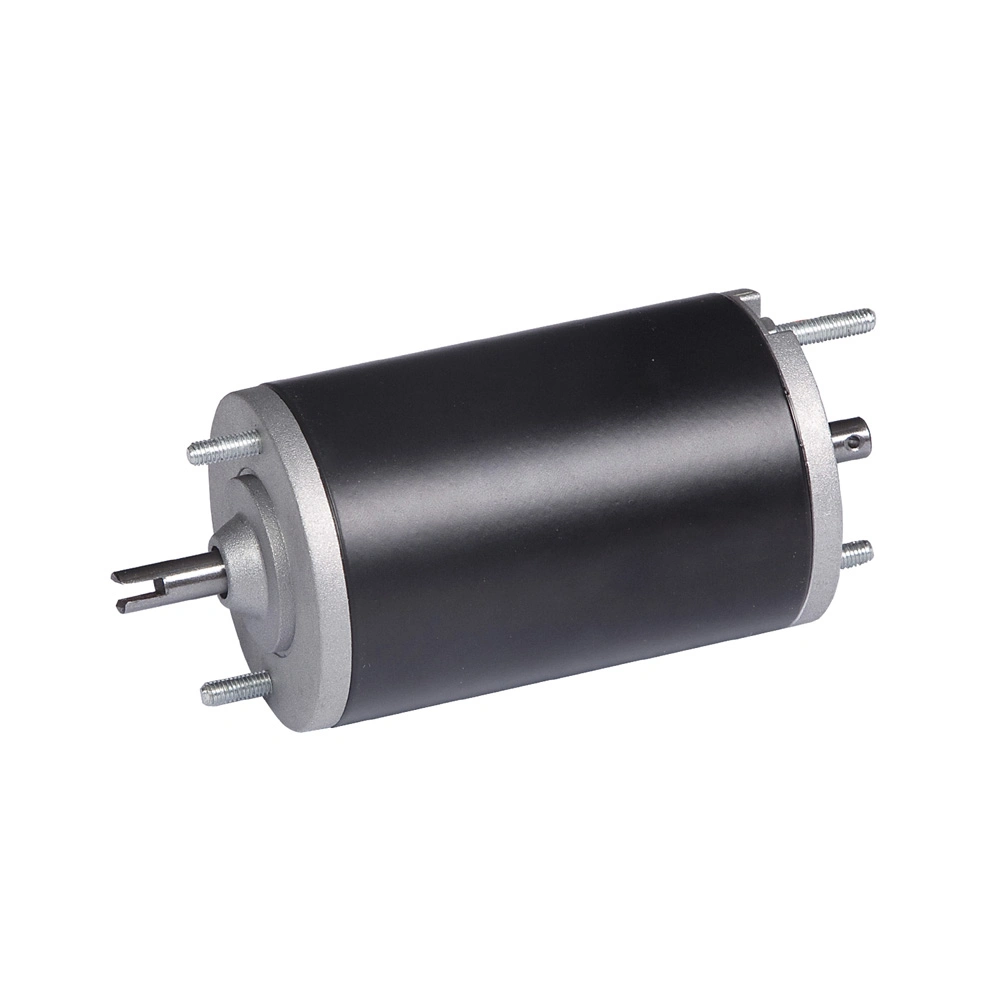 5000rpm, 24V, 300W IP67 Fuel Pump Pm DC Motor