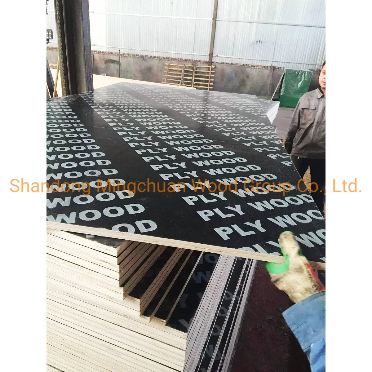 Building Materials Shuttering Plywood Sheet MDF Board Construction Film Faced Plywood