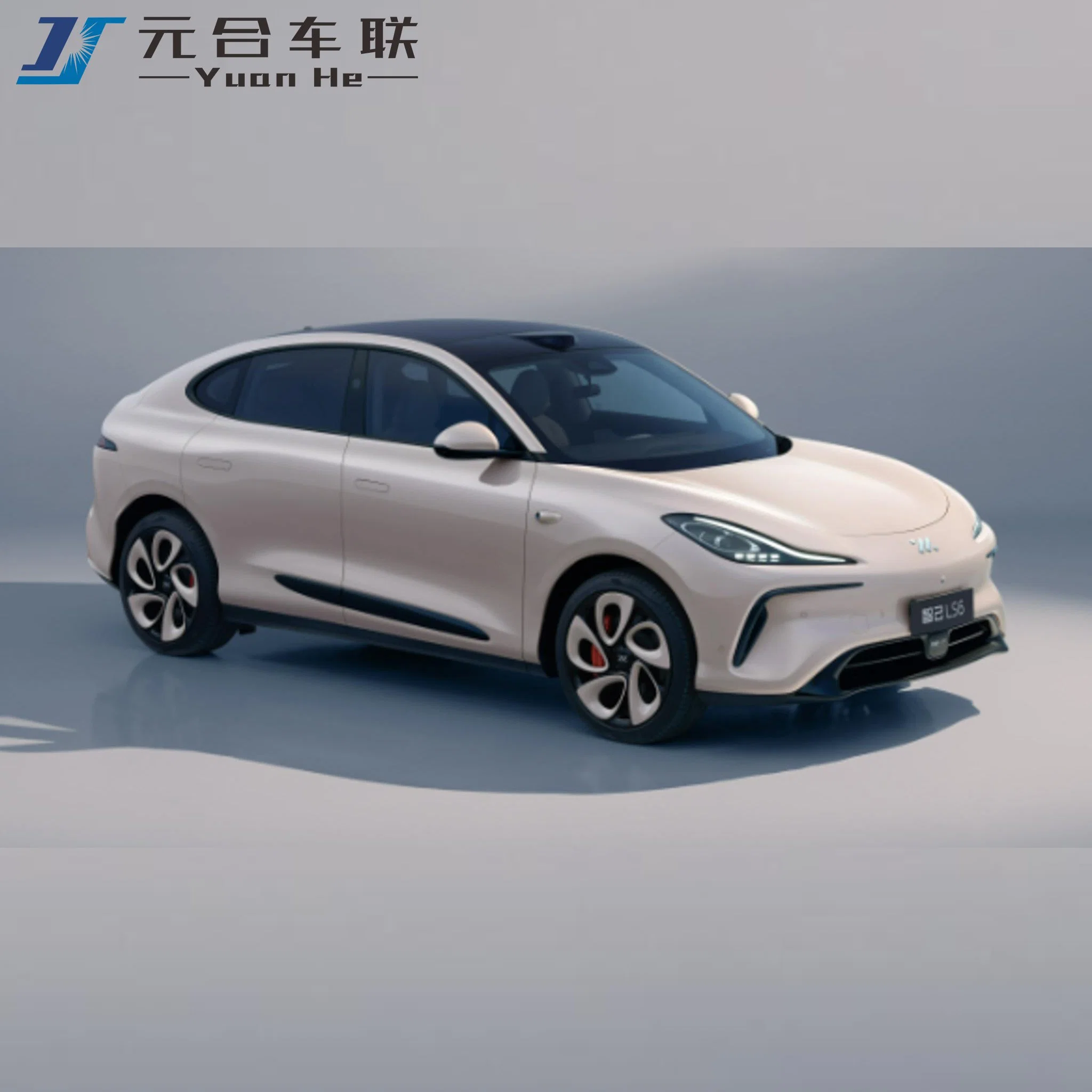 2023 Zhiji Ls6 - High Power 4WD Electric Sports Car