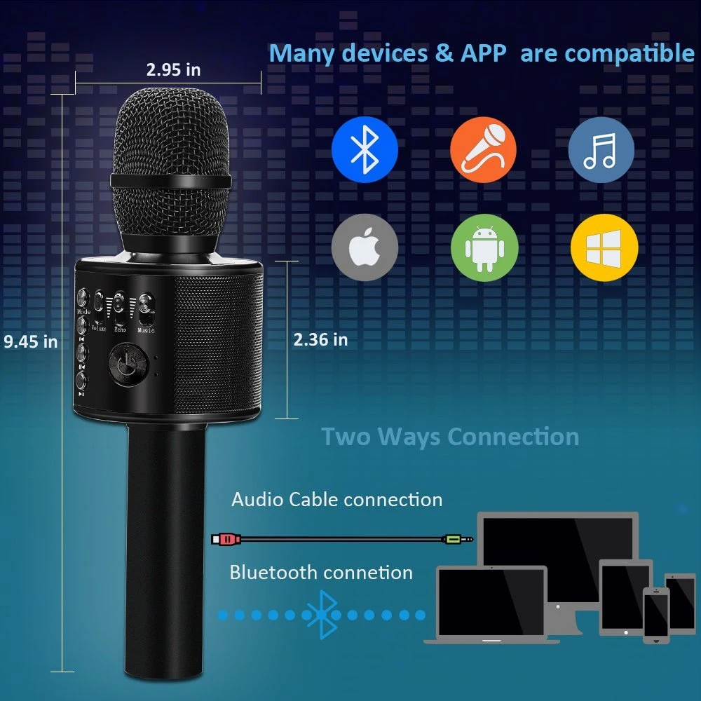 Portable Microphone and Speaker for Muisc Playing and Singing