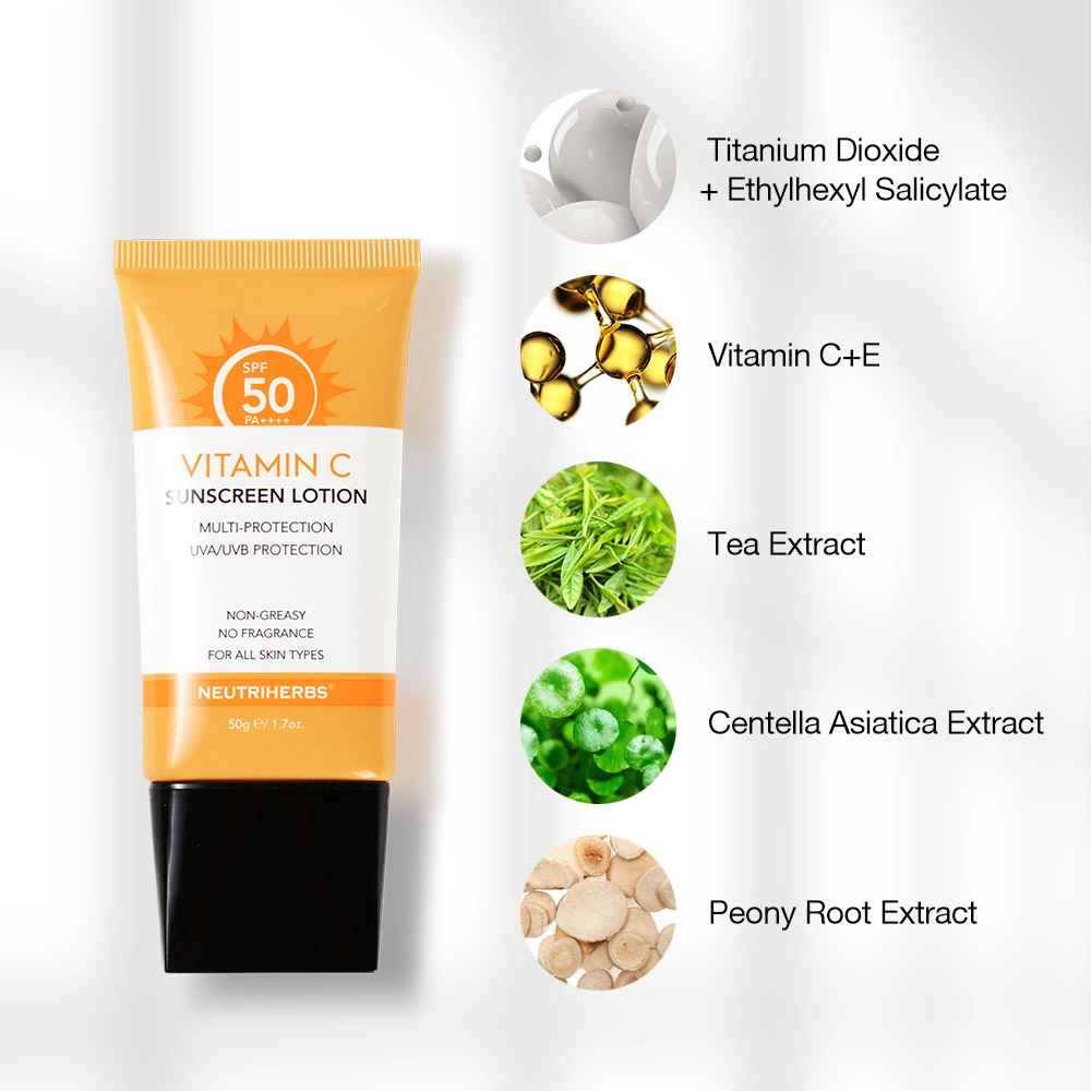 Hot-Selling Korean Bulk Natural Brightening SPF50 Zinc Sun Screen Cream with Vitamin C