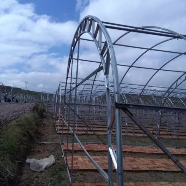 WMGH067 günstiges Gartengewächshaus für das Saatwachstum Pflanzengewächshaus