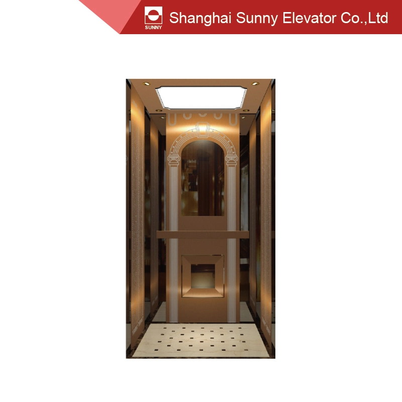 Home Elevator Ceiling Steel Plate Baking Paint and LED Lighting