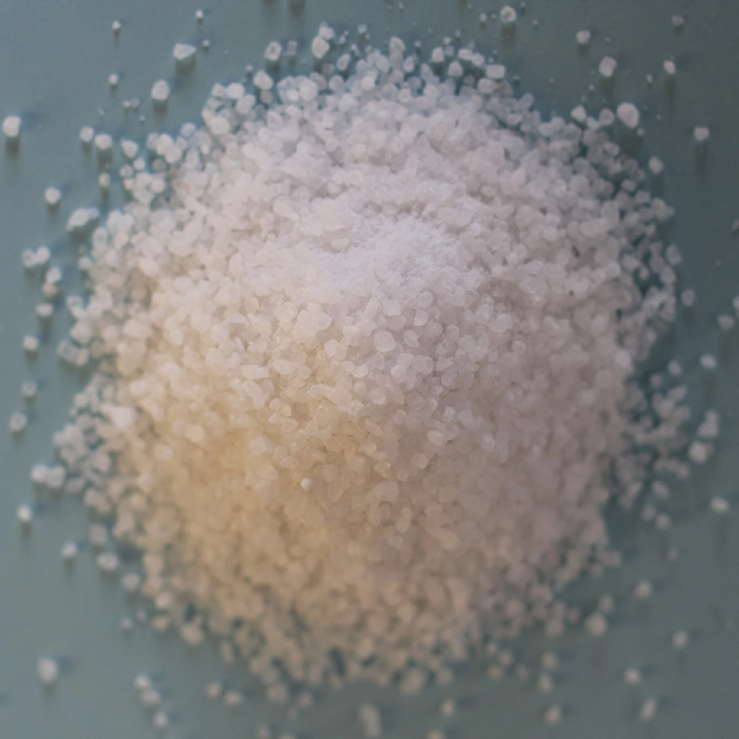 High-Quality Sodium Chloride Curing Salt