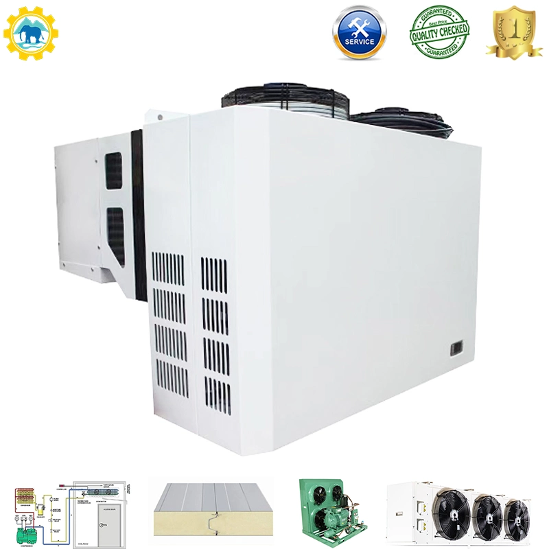 Box-Type Bitzerr Compressor Cold Room Refrigeration Condensing Unit Freezer Condenser