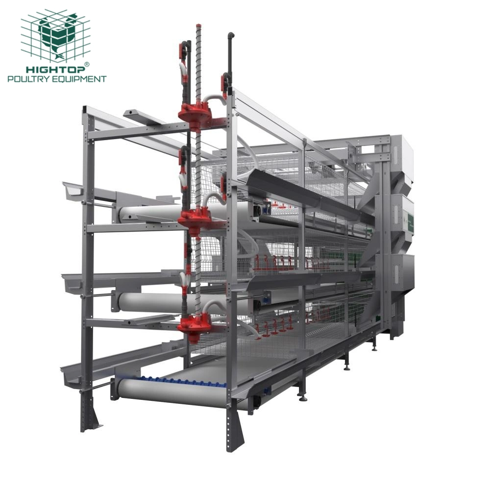 H Type Fully Automatic Poultry Broiler Cage Battery Cages For Broiler Chicken