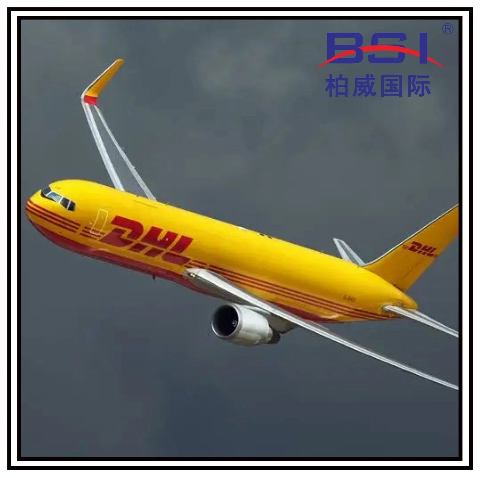 Sicher und schnell China nach USA NT/DHL/UPS/FedEx, Express-Lieferung