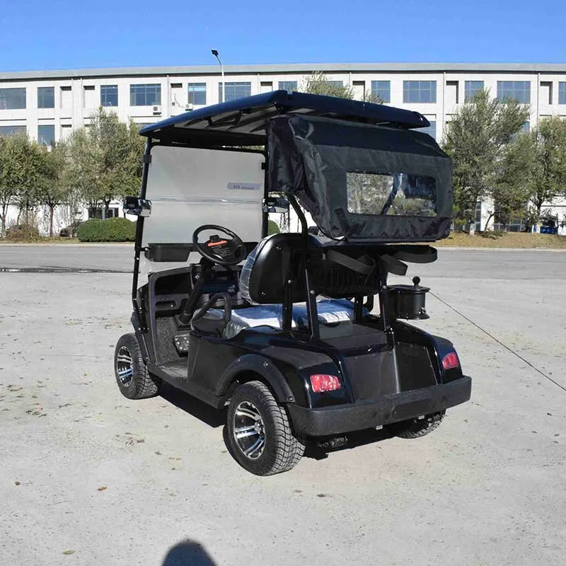 L'essence/électrique 4/8 places voiturette de golf siège unique Golf Accessoires de chariot