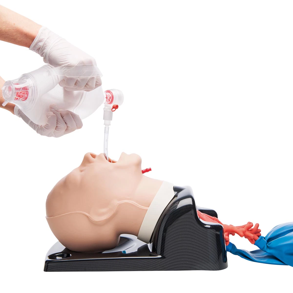 التدريب الطبي نموذج التنبيب بكيس القصبة الهوائية للإنعاش القلبي الرئوي باستخدام مجرى هوائي البشر
