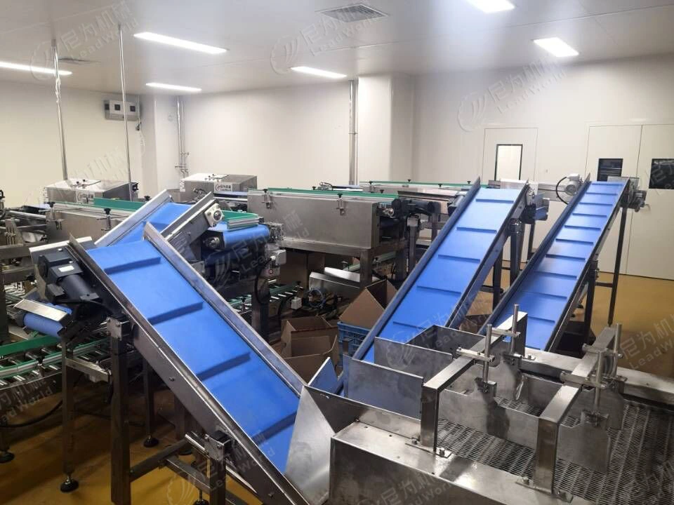 Automatic Case Packer Horizontal and Vertical Carton Bagged Meat Free Fall Packing Machine