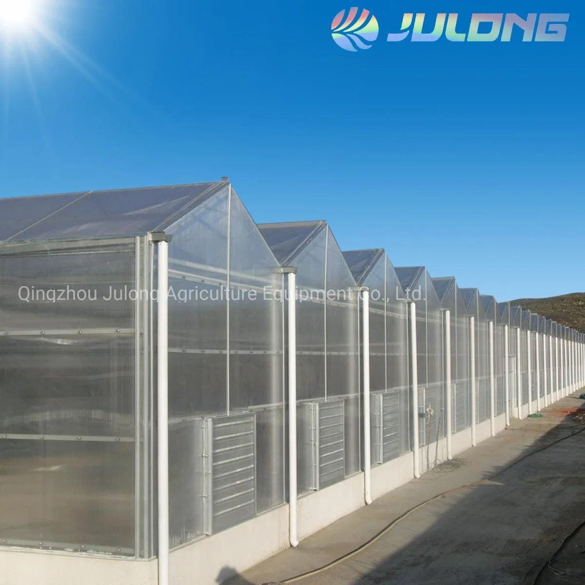 Venlo Type Polycarbonate Greenhouse for Garden House with CO2 Controller