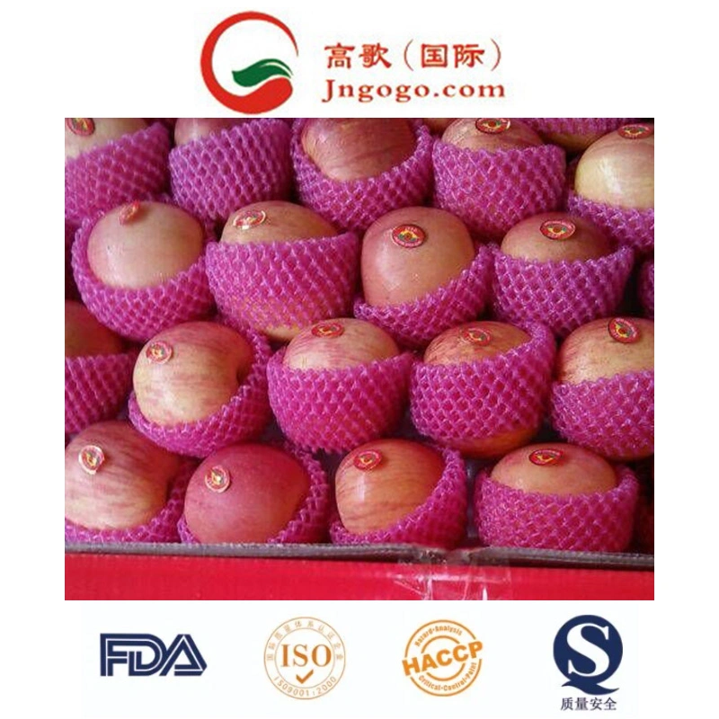 High Quality for Exporting Fresh Chinese FUJI Apple