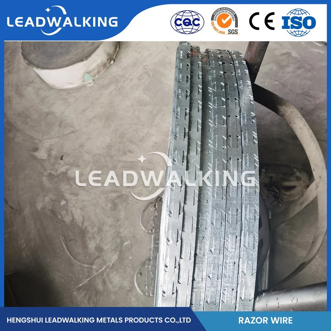 Leadwalking Spiral Barbed Wire Fabricators 6 Strands Steel Wire Flat Razor Barbed Wire China 18#X18# Swg Rust Proof Razor Barbed Wire