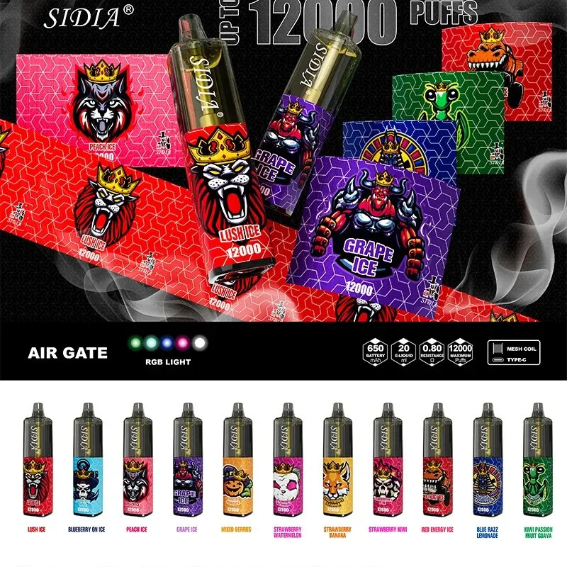 2023 L'Europe Vente chaude Sidia 12000bouffées Pod 20ml Vape jetables de gros