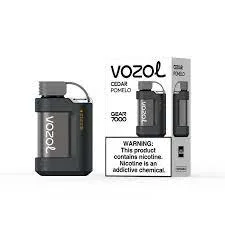 Ecig Wholesale Popular Rechargeable Disposable Mesh Vape Pod Vozol Gear 5000 7000 10000 Puff Wepe E-Cigarette