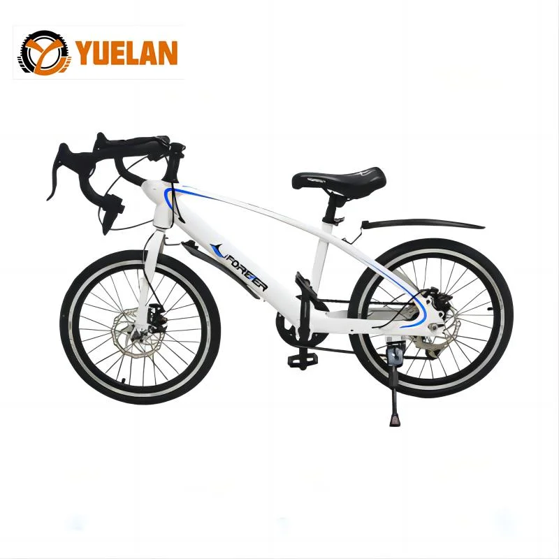 Wholesale/Supplier 20inch Magnesium Alloy Kids Bikes 12/14/16/18/20 Inch Kids Bicycles /Cheap Price Pink Children Bicycles Bikes
